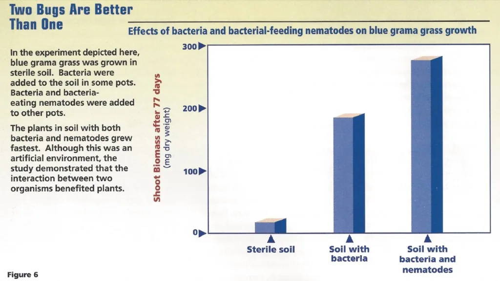 soilkeepers healthy soil biology