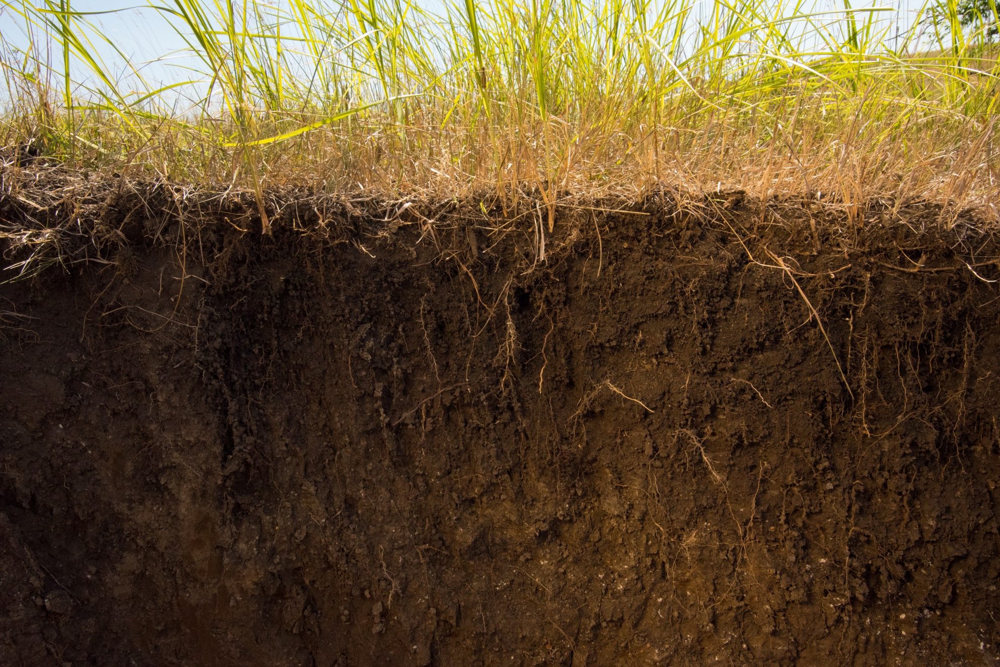 SoilKeepers program imagery