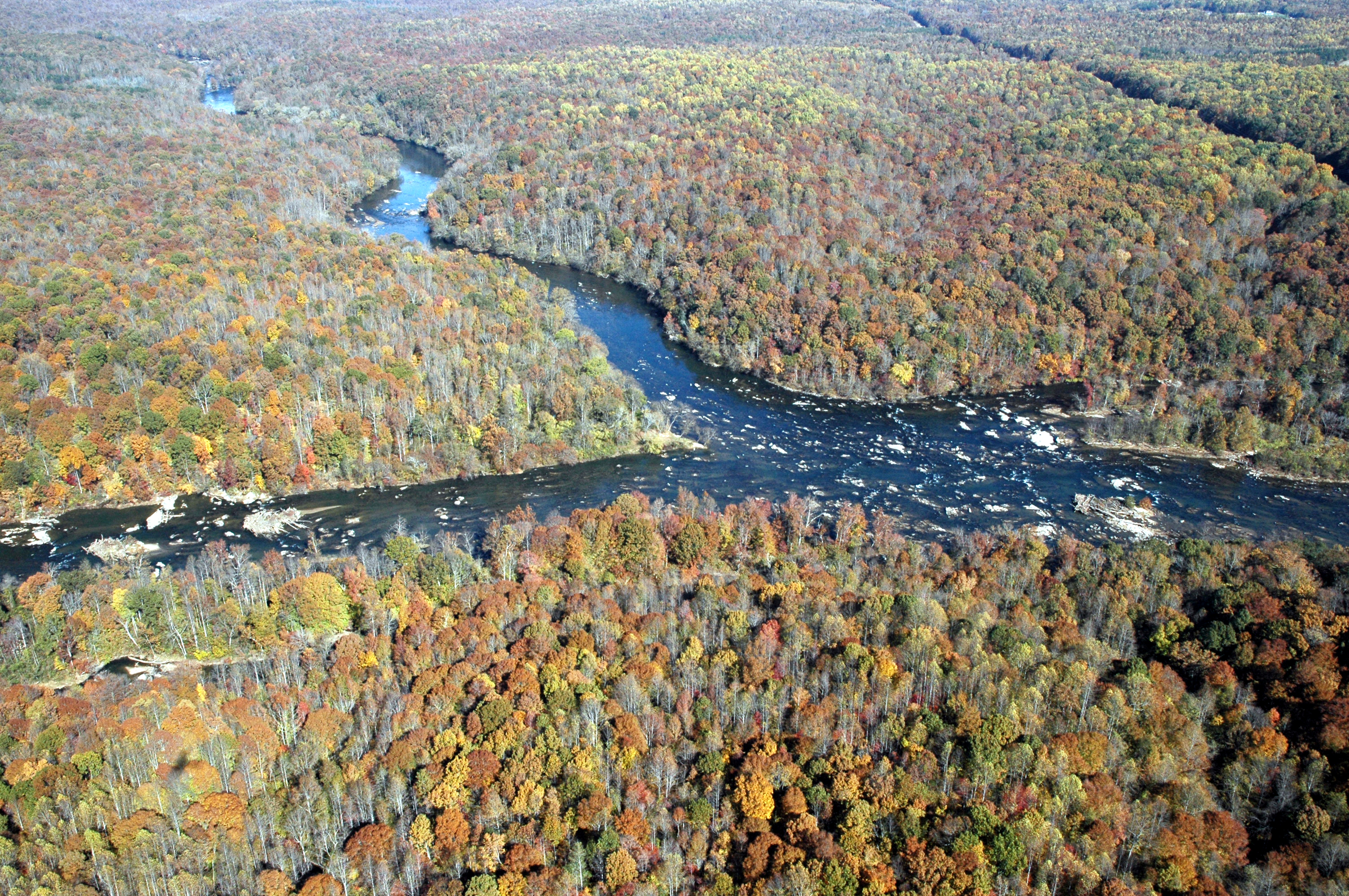 Aerial view of the Rapidan River and its surrounding forest